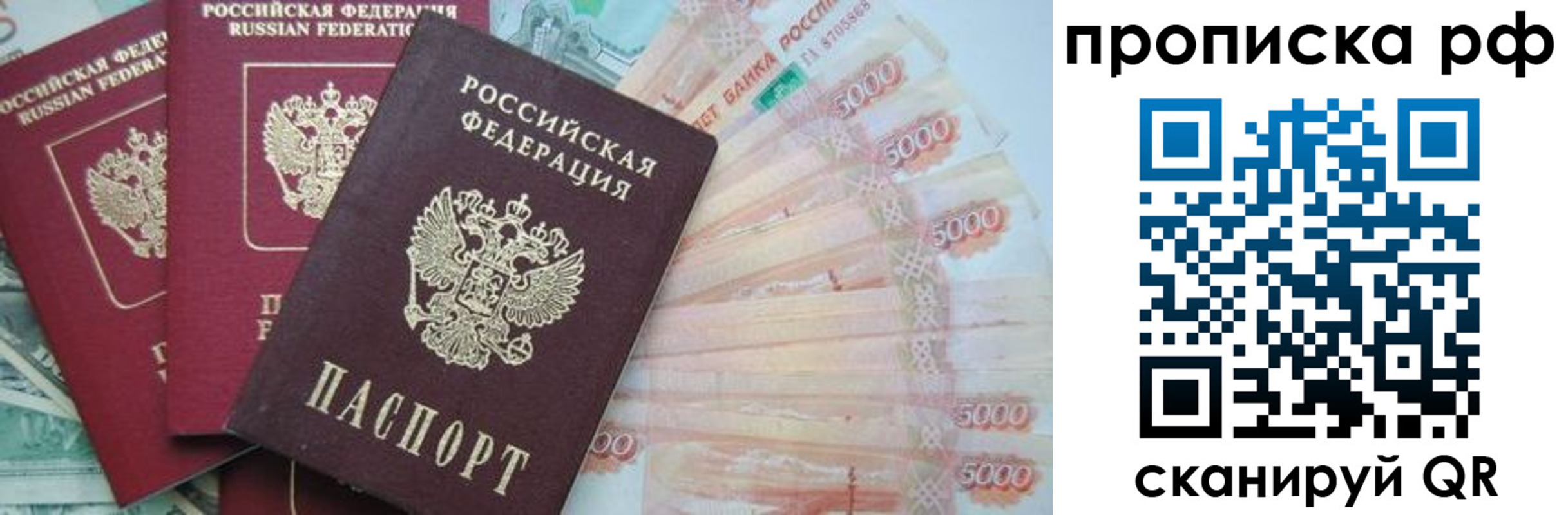 временная регистрация купить в Благовещенске